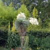 Detail aus der Gartenausstellung