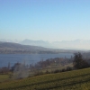 Hallwilersee mit Blick in Richtung der Alpen