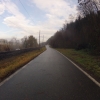 Auf nassen und schattigen Radwegen dem Rhein entlang