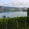 Hallwilersee