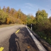 Herbstlicher Wald an der Bürensteig