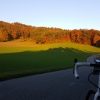 Waldrand im Abendrot