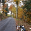 Herbstfarben an der Schafmatt