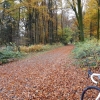 Herbst auf dem Radweg