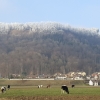 Frostiger Bruggerberg