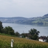 Hallwilersee