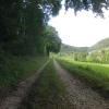 Feldweg nach Mönthal