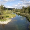 Auenlandschaft an der Aare