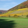 Herbstliche Rebberge bei Riniken