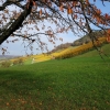 Rebberg am Rotberg über Hottwil