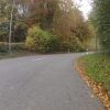 Herbstlicher Wald zwischen Boniswil und Leutwil