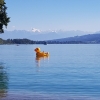 Hallwilersee, etwa auf der Höhe von Restaurant Delphin