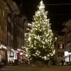 Weihnachtsbaum in Lenzburg