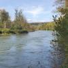 An der Aare