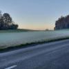 Herbstlicher Nebel über einer Waldlichtung