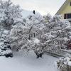 Am Morgen nach dem ersten nächtlichen Schneefall