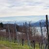 Hallwilersee mit Alpenkamm