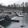 Wehr am Aarekanal
