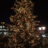 Weihnachtsbaum in Brugg