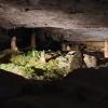 Stalaktiten (von oben) Stalagmiten (von unten)