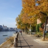 am Rhein