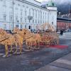 Weihnachtlicher 4-Spänner in Innsbruck