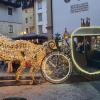 Adventszeit in Kitzbühel