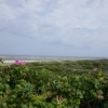 Auf den Dünen von Langeoog