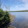 Hammersee auf Juist