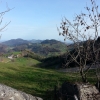 Blick vom Chilchzimmersattel / Belchenpass