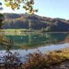 am Wohlensee