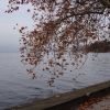 Am Zürichsee