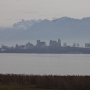 Am Zürichsee, Blick nach Rapperswil