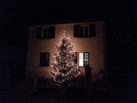 Weihnachtsbaum in Ehrendingen