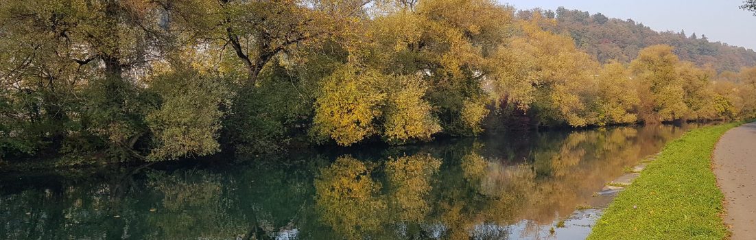 Aarekanal vor Aarau