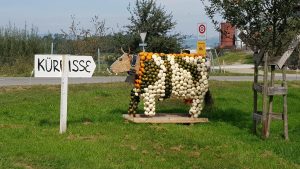 Kürbisse / Herbstzeit