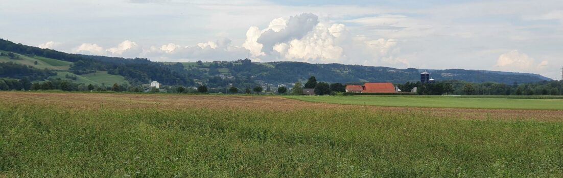 Blick über das Aaretal an den Jura, Vierlinden auf dem Bözberg