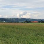 Blick über das Aaretal an den Jura, Vierlinden auf dem Bözberg