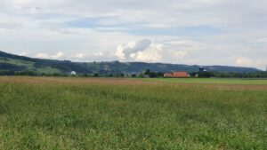 Blick über das Aaretal an den Jura, Vierlinden auf dem Bözberg