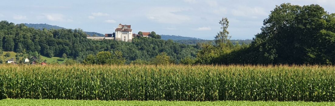 Schloss Wildegg