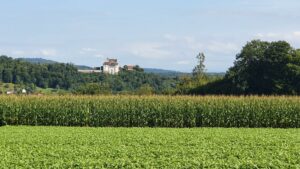 Schloss Wildegg