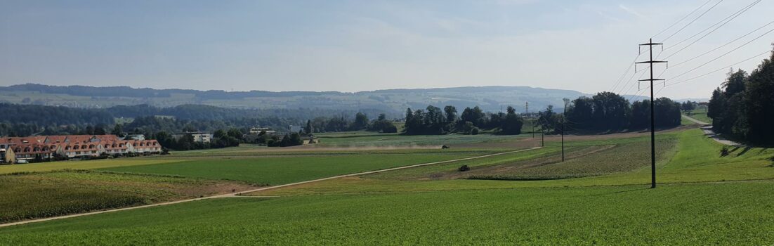 Blick ins Reusstal und an den Heitersberg