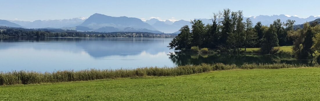 Blick zurück über den Baldeggersee, zur Rigi