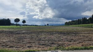 Blick über das Aaretal zum Jura