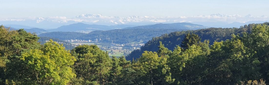 Blick in die Alpen vom Rotberg