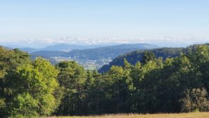 Blick in die Alpen vom Rotberg