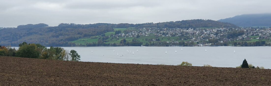 Blick auf den Hallwilersee