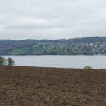 Blick auf den Hallwilersee