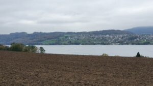 Blick auf den Hallwilersee