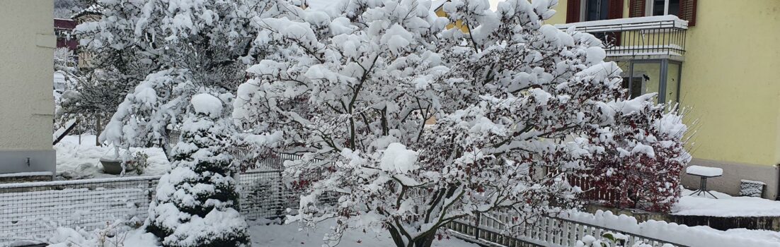 Am Morgen nach dem ersten nächtlichen Schneefall